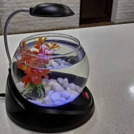 Betta Dəsti – Akvarium – ucuztap.az