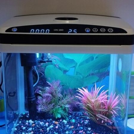 LED Akvarium – Akvarium – ucuztap.az