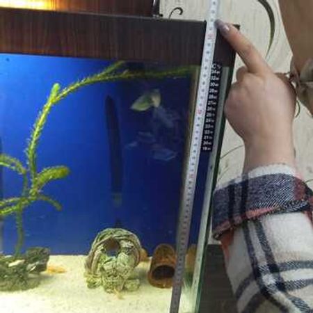 Akvarium Və Balıqlar – Akvarium – ucuztap.az