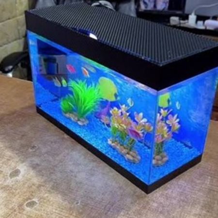 Akvarium – Akvarium – ucuztap.az