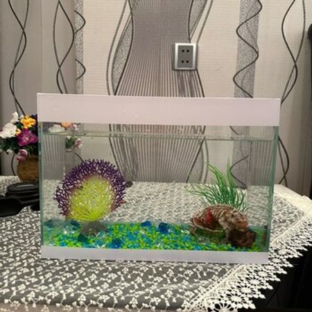Akvarium – Akvarium – ucuztap.az