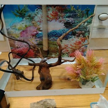 Akvarium – Akvarium – ucuztap.az