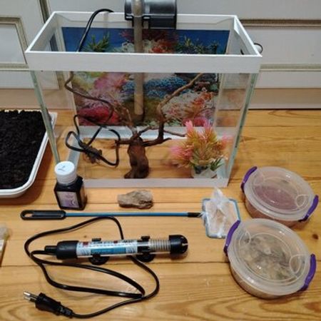 Akvarium – Akvarium – ucuztap.az