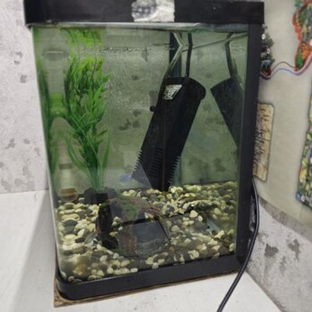 Akvarium Və Balıqlar – Azərbaycan – ucuztap.az