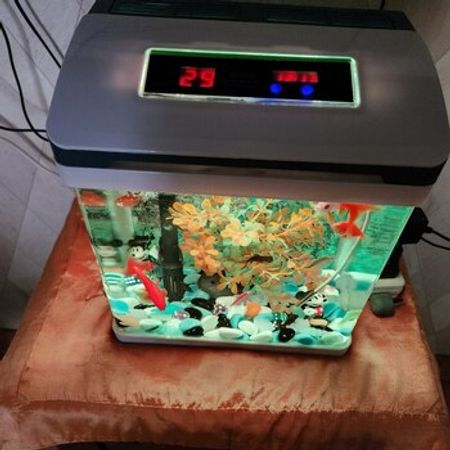 Akvarium – Akvarium – ucuztap.az