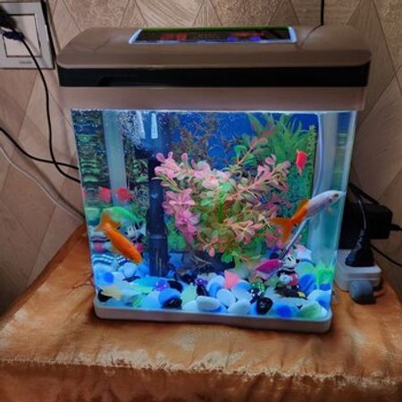 Akvarium – Azərbaycan – ucuztap.az