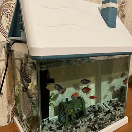 Akvarium – Azərbaycan – ucuztap.az