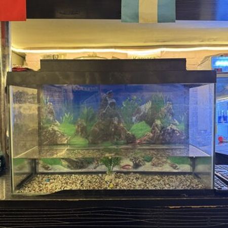 Akvarium – Azərbaycan – ucuztap.az