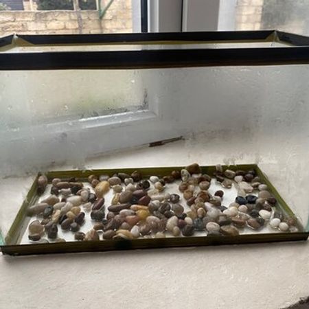 Akvarium – Heyvanlar üçün məhsul – ucuztap.az