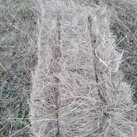 Yonca – Heyvanlar üçün məhsul – ucuztap.az