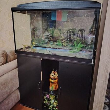 Akvarium – Heyvanlar üçün məhsul – ucuztap.az