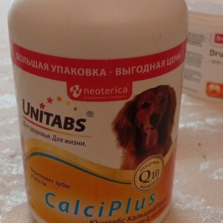 İtlər Üçün Qidalar Verim 1, Unitabs, Beaphar, Canina, – Heyvanlar üçün məhsul – ucuztap.az