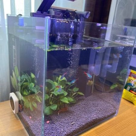 Akvarium – Heyvanlar üçün məhsul – ucuztap.az