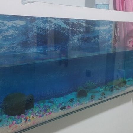 Akvarium – Heyvanlar üçün məhsul – ucuztap.az