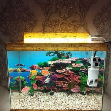 Akvarium – Heyvanlar üçün məhsul – ucuztap.az