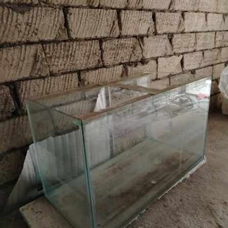 Akvarium – Heyvanlar üçün məhsul – ucuztap.az