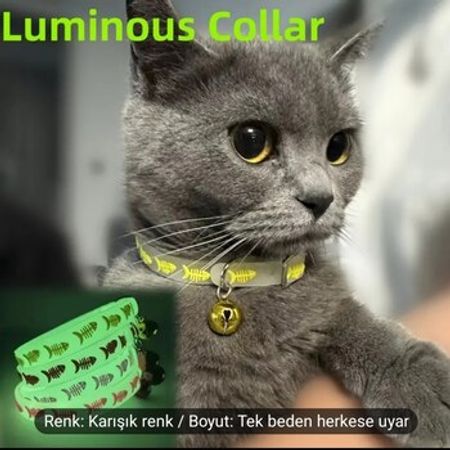 Fosforlu Xalta – Azərbaycan – ucuztap.az