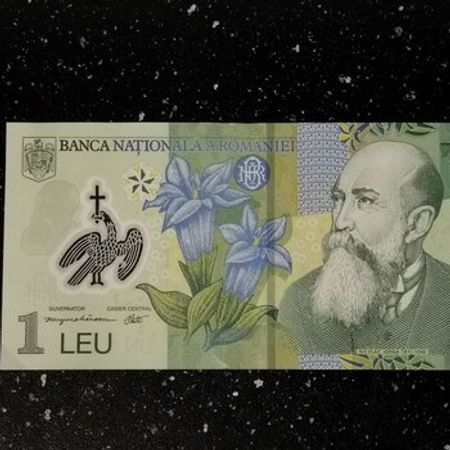 Ruminiya Pulu – Kolleksiya – ucuztap.az