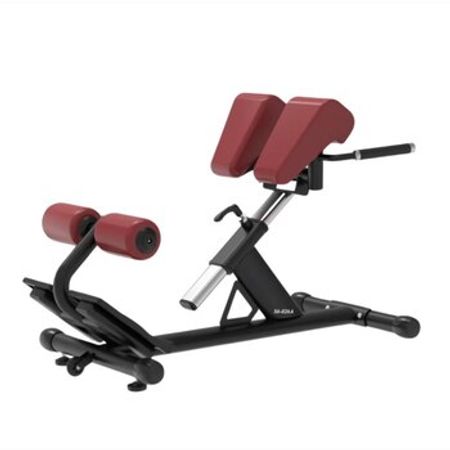 Ekstenziya Trenajor Roman Chair – İdman və asudə – ucuztap.az
