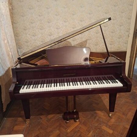 Royal GERBSTADT – Musiqi alətləri – ucuztap.az