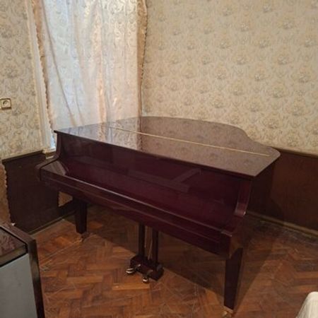 Royal GERBSTADT – Musiqi alətləri – ucuztap.az