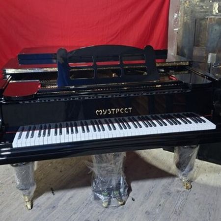 Royal МУЗТРССТ – Musiqi alətləri – ucuztap.az