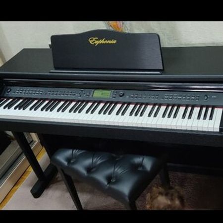 Elektrik Piano – Bakı – ucuztap.az
