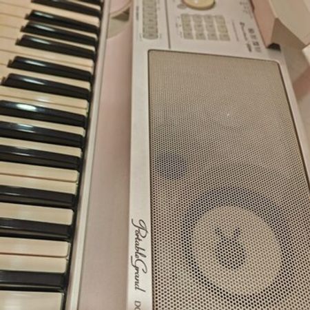 Portable Grand DGX-305 Sentizatoru – Zaqatala – ucuztap.az