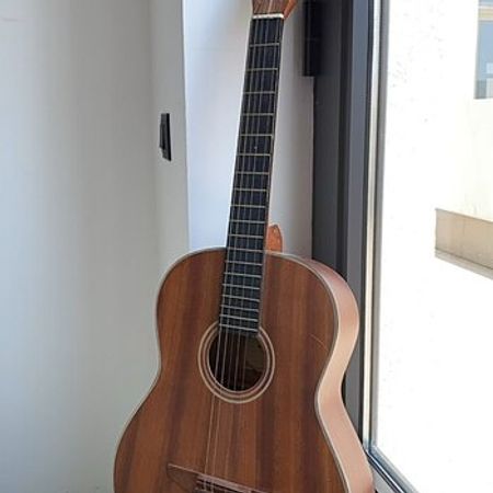 Gitara Fina – Musiqi alətləri – ucuztap.az