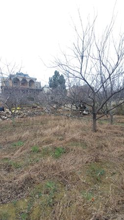 Bağ evi, 450 m², Sabunçu r., Bakı – Bakı – ucuztap.az