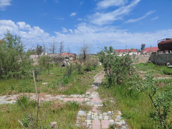 Torpaq sahəsi, 100 sot, Tikinti təyinatlı, Çıxarışlı, Şağan qəsəbəsinin mərkəzində, Bakı – Bakı – ucuztap.az