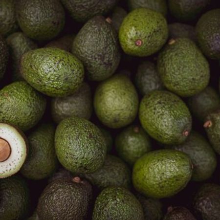 Avokado – Bakı – ucuztap.az
