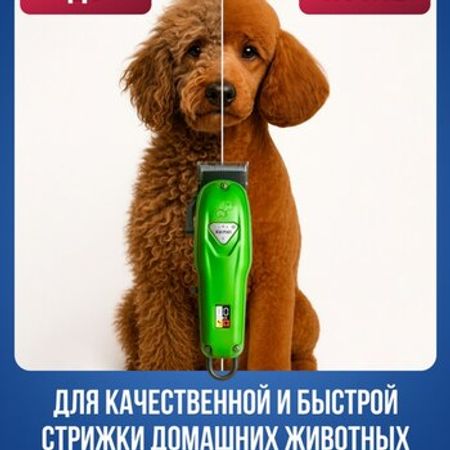 Ev heyvanları üçün təraş aparatı Kemei A99 – Bakı – ucuztap.az