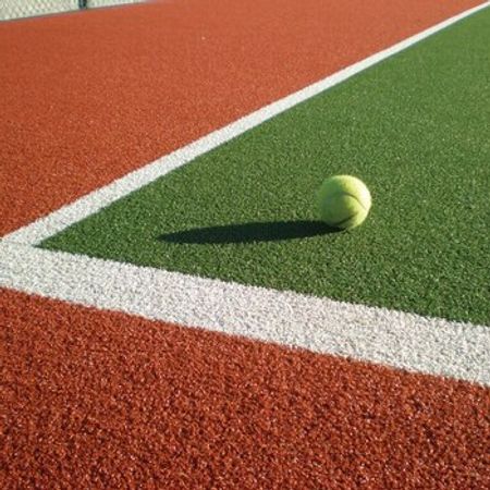 Multisport stadion qazonu – Bitkilər – ucuztap.az