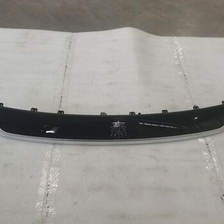 BYD Qin Plus 2025 ön hissə üçün emblem – Bakı – ucuztap.az
