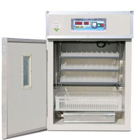 İnkubator – Biznes üçün avadanlıq – ucuztap.az