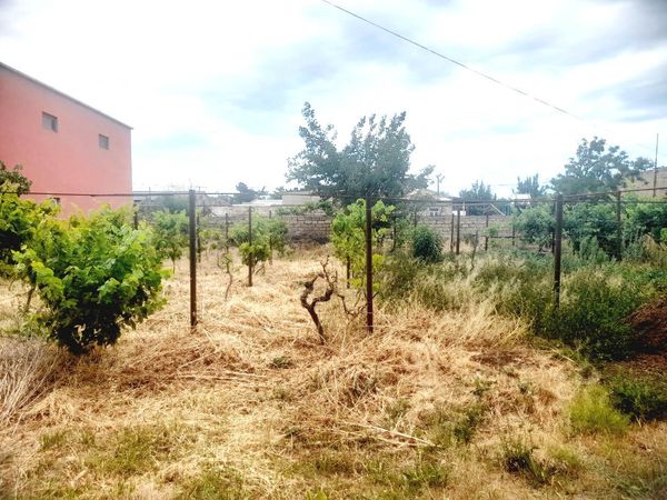 Torpaq sahəsi, 5.5 sot, Bağ təyinatlı, Çıxarışlı, Buzovna qes, Bakı – Bakı – ucuztap.az
