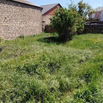 1 Sot torpaq sahəsi, Binəqədi qəs. – Bakı – ucuztap.az