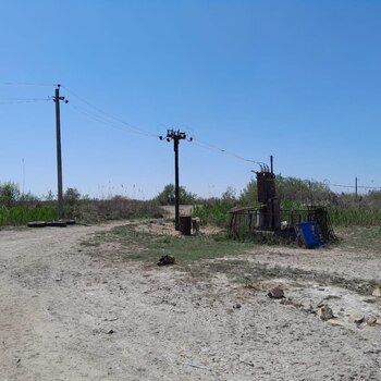 8 Sot torpaq sahəsi, Salyan r. – Satılır – ucuztap.az