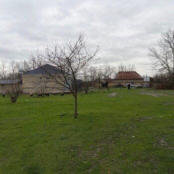3.3 Sot torpaq sahəsi, Qəbələ r. – Bakı – ucuztap.az