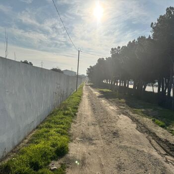 17 Sot torpaq sahəsi, Abşeron r. – İcarə verilir – ucuztap.az