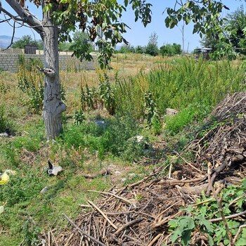 3 Sot torpaq sahəsi, Şəki ş. – Satılır – ucuztap.az