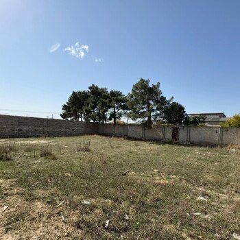 3 Sot torpaq sahəsi, Cəlilabad r. – Satılır – ucuztap.az