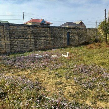 12 Sot torpaq sahəsi, Sumqayıt ş. – Sumqayıt – ucuztap.az