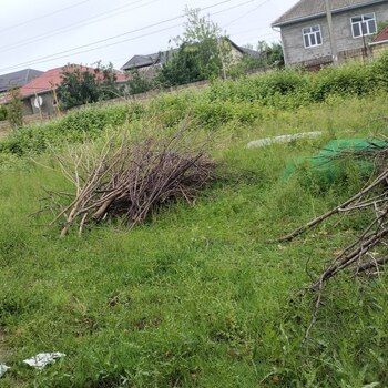 1 Sot torpaq sahəsi, Lənkəran ş. – Satılır – ucuztap.az