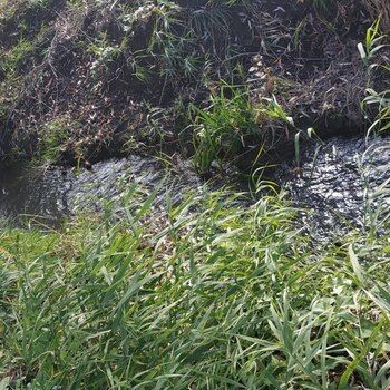 38 Sot torpaq sahəsi, Xaçmaz r. – Satılır – ucuztap.az