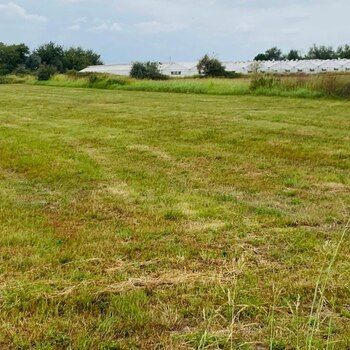 89 Sot torpaq sahəsi, Salyan ş. – Satılır – ucuztap.az