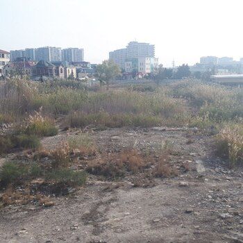 390 Sot torpaq sahəsi, Səlyan şosesi 10 – İcarə verilir – ucuztap.az