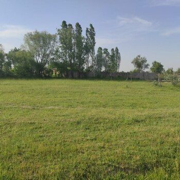 20 Sot torpaq sahəsi, Xaçmaz r. – Satılır – ucuztap.az