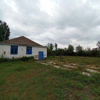 Həyət evi, Salyan r. – Satış – ucuztap.az